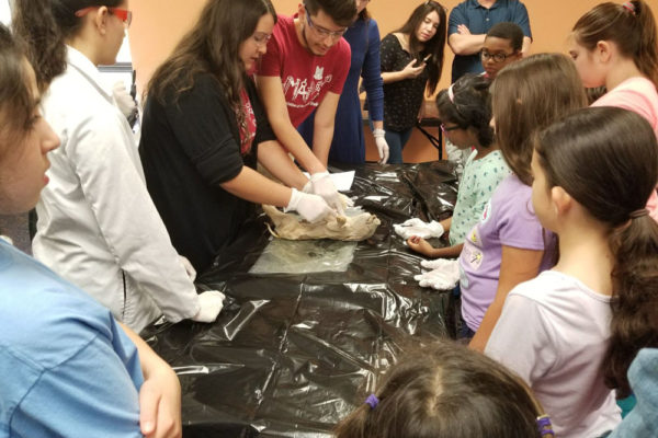 1-27-18-science-in-the-city-dissections-workshop-at-miami-lakes-library-25 Exploring Parallels Between Animal and Human Anatomy STEM Workshop at Miami Lakes Library