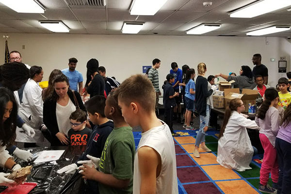 600x403-1-27-18-Dissections-at-Miami-Lakes-Library Exploring Parallels Between Animal and Human Anatomy STEM Workshop at Miami Lakes Library