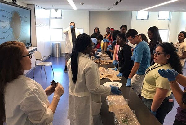Eye Ball Dissection at Frost Museum Community Impact